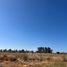 Terreno (Parcela) en venta en Chile, Teno, Curicó, Maule, Chile