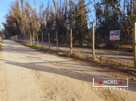  Terreno (Parcela) en venta en Valparaíso, Nogales, Quillota, Valparaíso