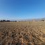  Terreno (Parcela) en venta en Valparaíso, Nogales, Quillota, Valparaíso