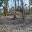  Land for sale in Valparaiso, Nogales, Quillota, Valparaiso