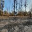  Land for sale in Valparaiso, Nogales, Quillota, Valparaiso