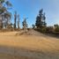  Land for sale in Valparaiso, Nogales, Quillota, Valparaiso