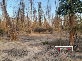  Land for sale in Valparaiso, Nogales, Quillota, Valparaiso