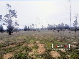  Terreno (Parcela) en venta en Chile, Nogales, Quillota, Valparaíso, Chile