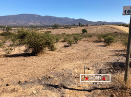  Terreno (Parcela) en venta en Valparaíso, Nogales, Quillota, Valparaíso