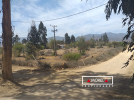  Land for sale in Valparaiso, Nogales, Quillota, Valparaiso