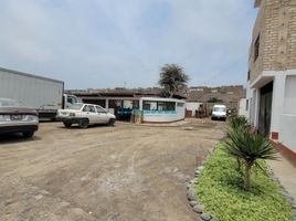 在Chorrillos, Lima出售的 土地, Chorrillos
