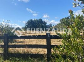  토지을(를) 칠레에서 판매합니다., Puerto Varas, Llanquihue, 로스 라고스, 칠레