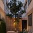 2 Bedroom Apartment for sale in Miguel Hidalgo, Mexico City, Miguel Hidalgo, Mexico City