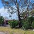 1 Bedroom House for sale in Aguascalientes, Aguascalientes, Aguascalientes, Aguascalientes