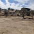  Land for sale in Jesus Maria, Aguascalientes, Jesus Maria