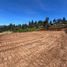 Terreno (Parcela) en venta en Chile, Santa Juana, Concepción, Biobío, Chile