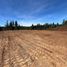  Terreno (Parcela) en venta en Chile, Santa Juana, Concepción, Biobío, Chile