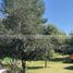 2 chambre Quinta for sale in FazWaz.fr, Santiago, Nuevo Leon, Mexique
