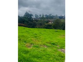  Land for sale in Yolombo, Antioquia, Yolombo