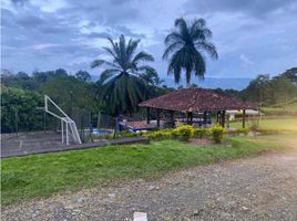  Land for sale in Caldas, Risaralda, Caldas