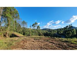  Terreno (Parcela) en venta en Rionegro, Antioquia, Rionegro