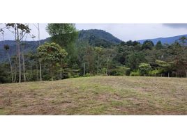  Terrain for sale in Sabaneta, Antioquia, Sabaneta