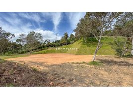  Grundstück zu verkaufen in Rionegro, Antioquia, Rionegro, Antioquia