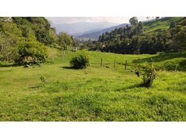 Maison 3 chambre à vendre à Medellin, Antioquia, Medellin