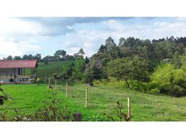  Land for sale in Quindio, Calarca, Quindio