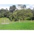  Land for sale in Quindio, Calarca, Quindio