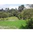  Land for sale in Quindio, Calarca, Quindio