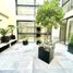 6 Habitación Apartamento en venta en Miguel Hidalgo, Ciudad de México, Miguel Hidalgo, Ciudad de México
