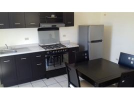 1 Schlafzimmer Appartement zu vermieten in Hermosillo, Sonora, Hermosillo, Sonora