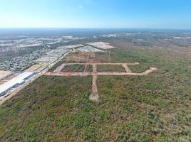  Land for sale in Merida, Yucatan, Merida, Yucatan