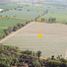  Land for sale in Apaseo El Grande, Guanajuato, Apaseo El Grande