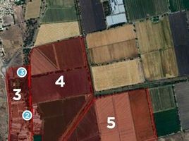  Land for sale in Apaseo El Grande, Guanajuato, Apaseo El Grande