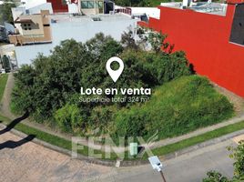  Terreno (Parcela) en venta en Coatepec, Veracruz, Coatepec