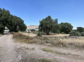  Grundstück zu verkaufen in Pachuca De Soto, Hidalgo, Pachuca De Soto