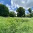  Land for sale in Merida, Yucatan, Merida