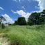  Land for sale in Merida, Yucatan, Merida