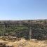  Terreno (Parcela) en venta en Irapuato, Guanajuato, Irapuato