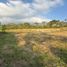  Land for sale in Pereira, Risaralda, Pereira