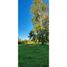  Terreno (Parcela) en venta en Cautín, Araucanía, Villarrica, Cautín