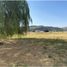  Terreno (Parcela) en venta en Maule, Curico, Curicó, Maule