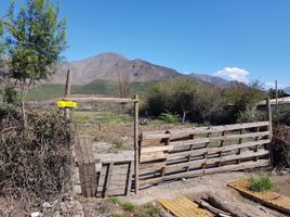  Land for sale in Valparaiso, Hijuelas, Quillota, Valparaiso