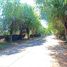  Land for sale in Colina, Chacabuco, Colina
