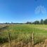  Terreno (Parcela) en venta en Chile, Collipulli, Malleco, Araucanía, Chile