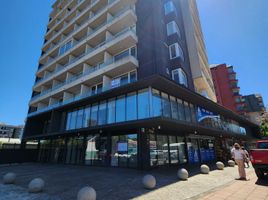 1 Habitación Apartamento en venta en Cautín, Araucanía, Nueva Imperial, Cautín