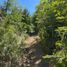  Land for sale in Rio Negro, Bariloche, Rio Negro