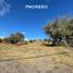  Land for sale in Punilla, Cordoba, Punilla