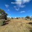  Land for sale in Punilla, Cordoba, Punilla