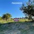  Land for sale in Punilla, Cordoba, Punilla