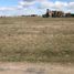  Land for sale in Brandsen, Buenos Aires, Brandsen