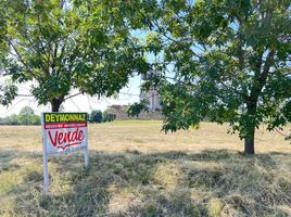  Land for sale in Colon, Entre Rios, Colon